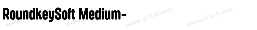RoundkeySoft Medium字体转换